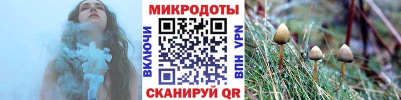 Псилоцибиновые грибы Magic Shrooms  продажа наркотиков  Каменка 