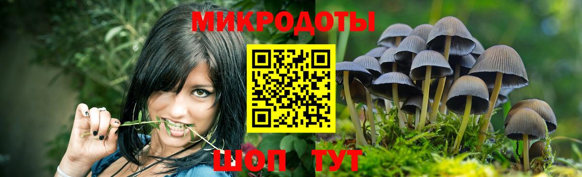 Каменка  Псилоцибиновые грибы GOLDEN TEACHER  Вход с VPN 